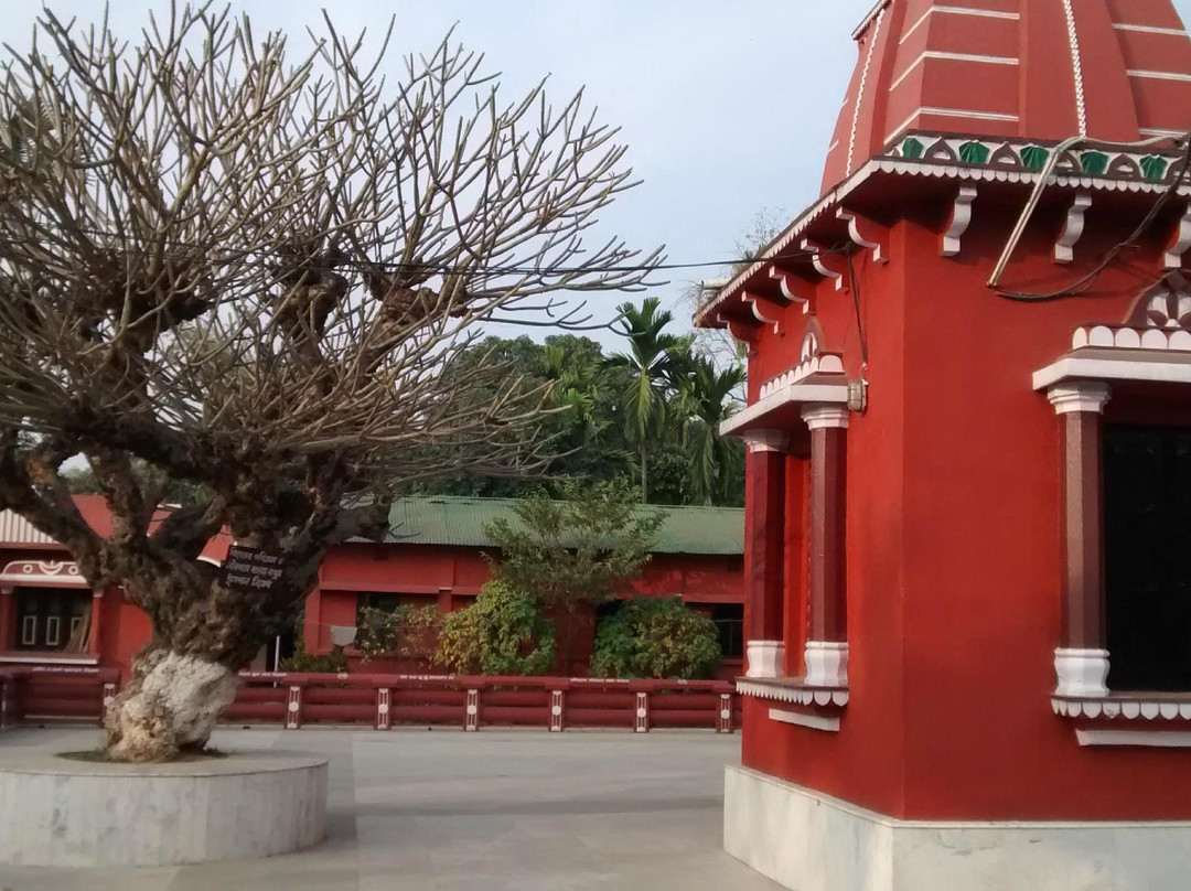 Venuban Vihar Buddha Shrine景点图片