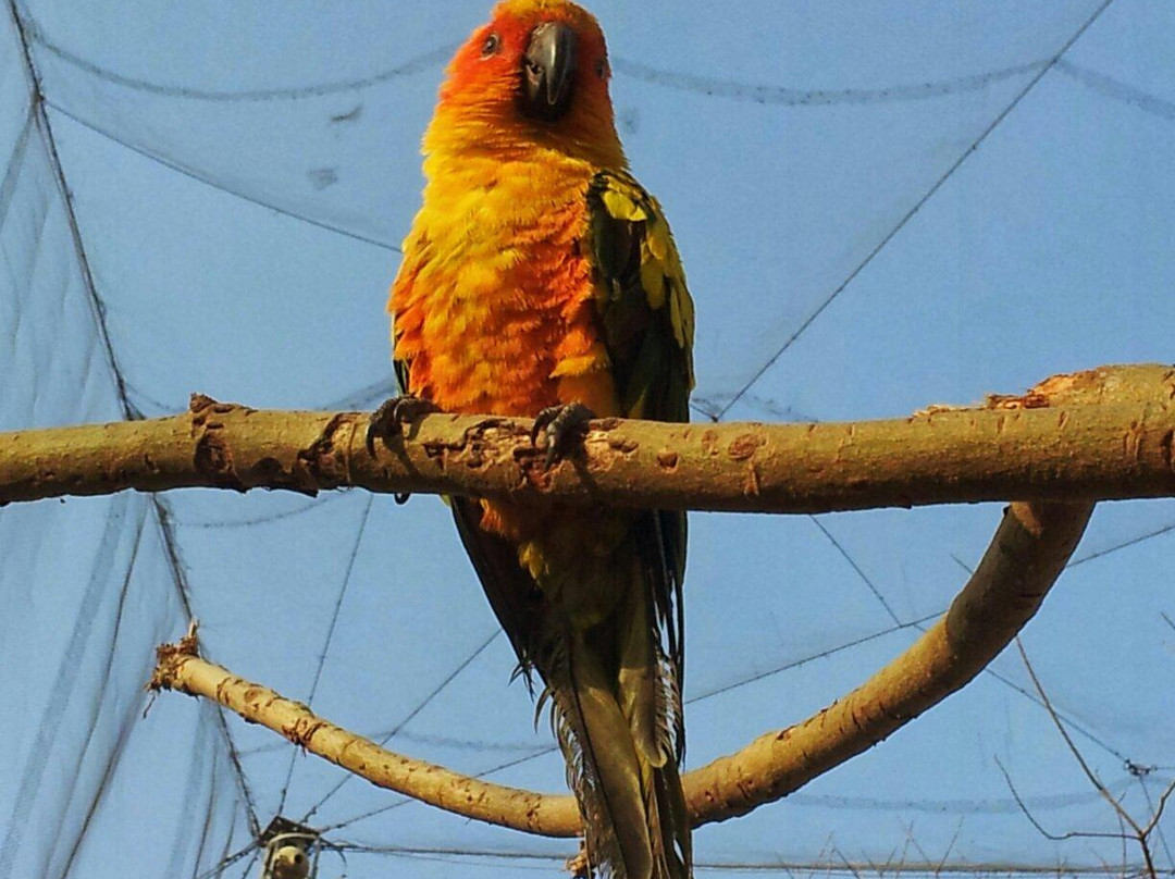 Bird Aviary-伊斯兰堡必去景点