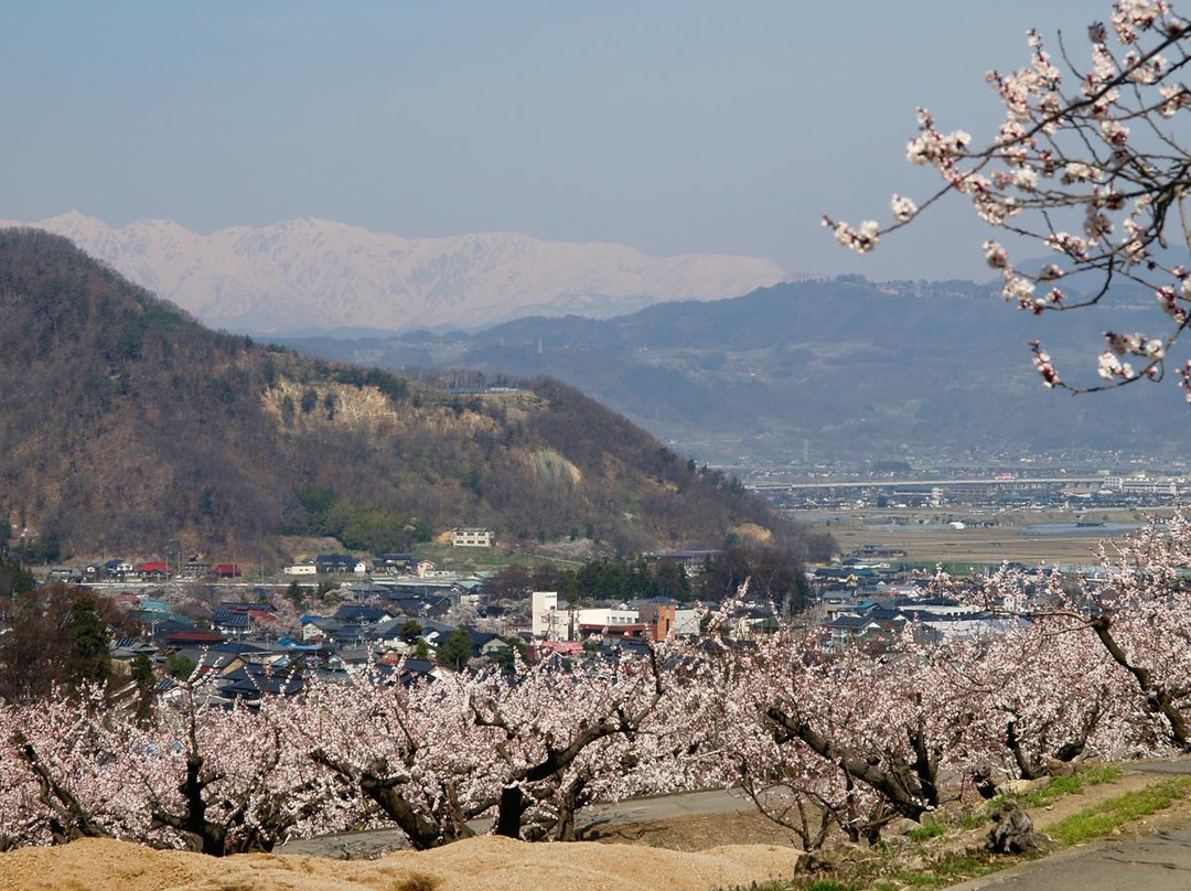 Anzu no Sato Tourist Center-千曲市必去景点