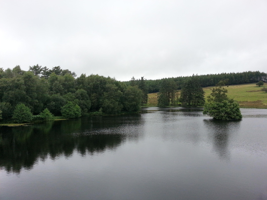 Moss Eccles Tarn-安布赛德必去景点