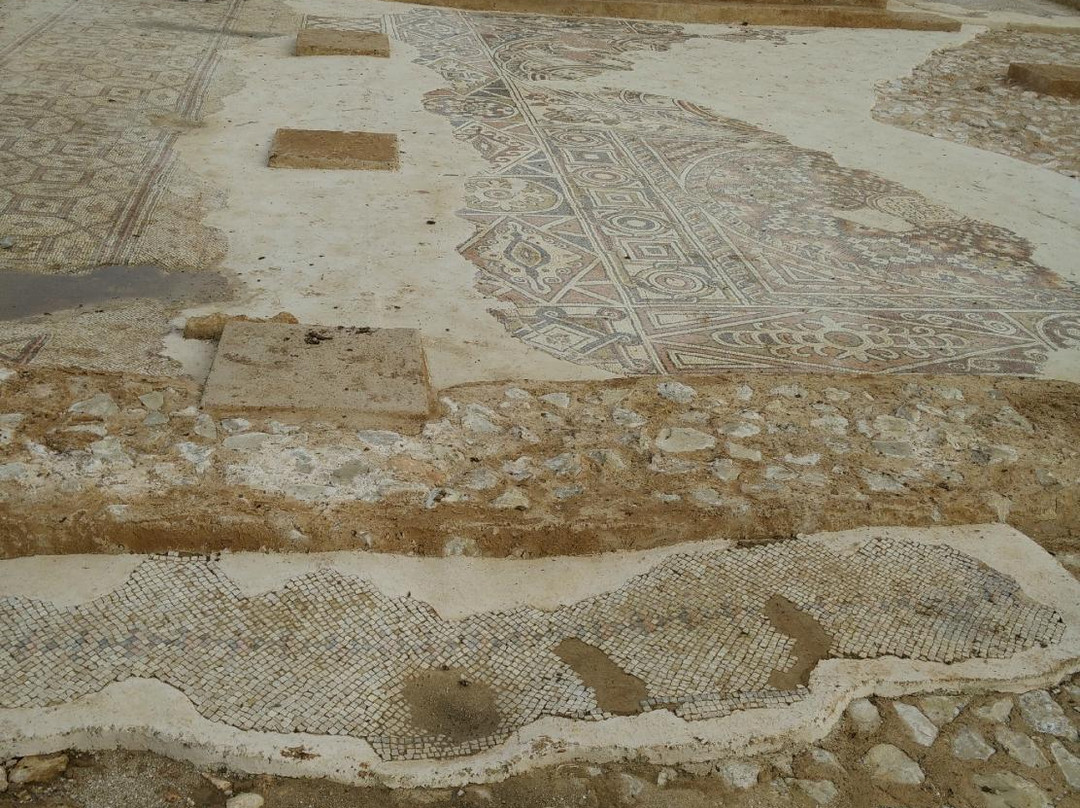 Shoham Forest Park-Shoham必去景点