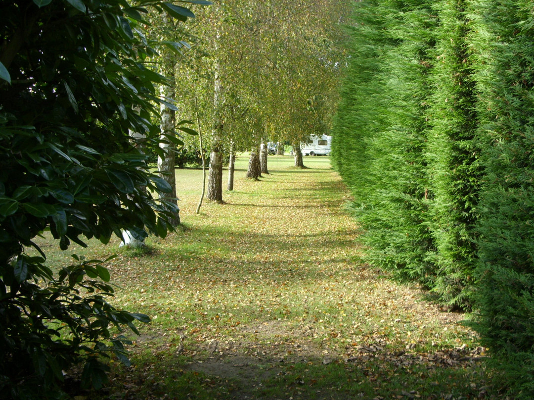 Outney Meadow Camp Site景点图片
