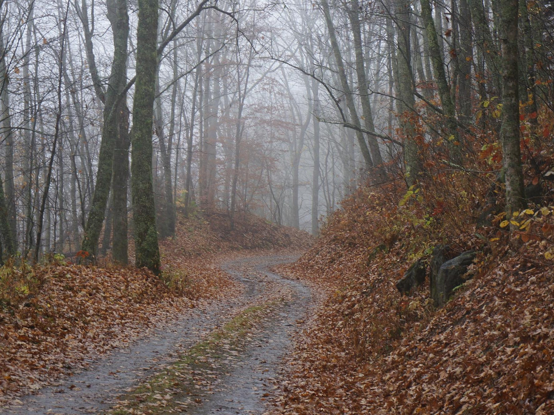Balsam Mountain Road-大雾山国家公园必去景点