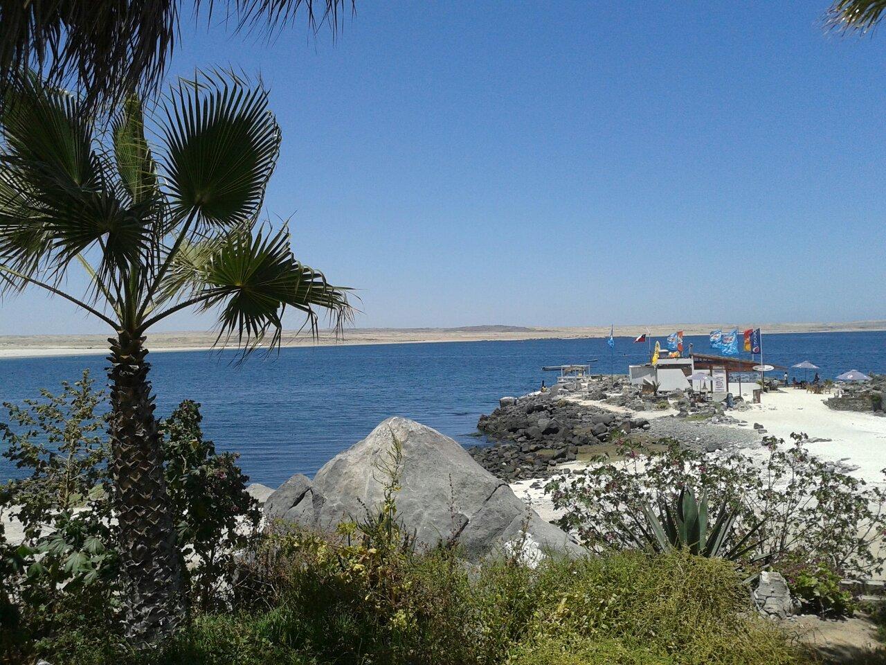 Coral de Bahía-餐饮
