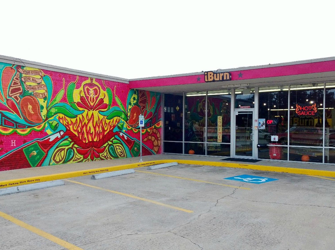 iBurn-休斯顿必去景点