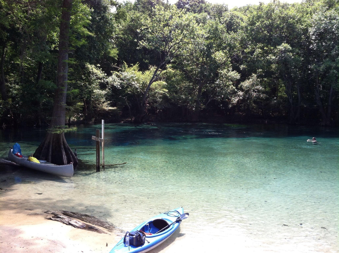Old Cypress Canoe Rental景点图片