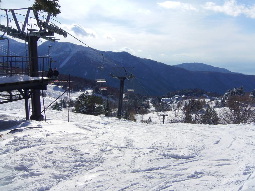 Yamada Farm, Yamaboku Wild Snow Park-高山村必去景点