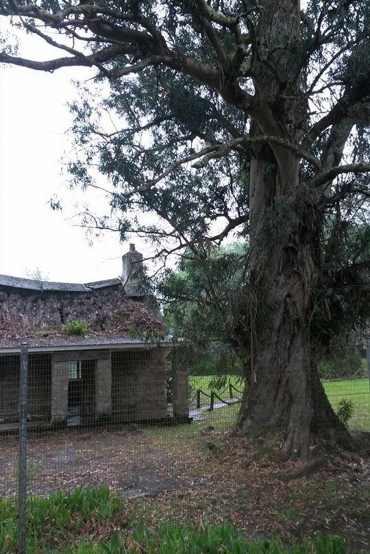 The Dolphin Trail-暴风河必去景点