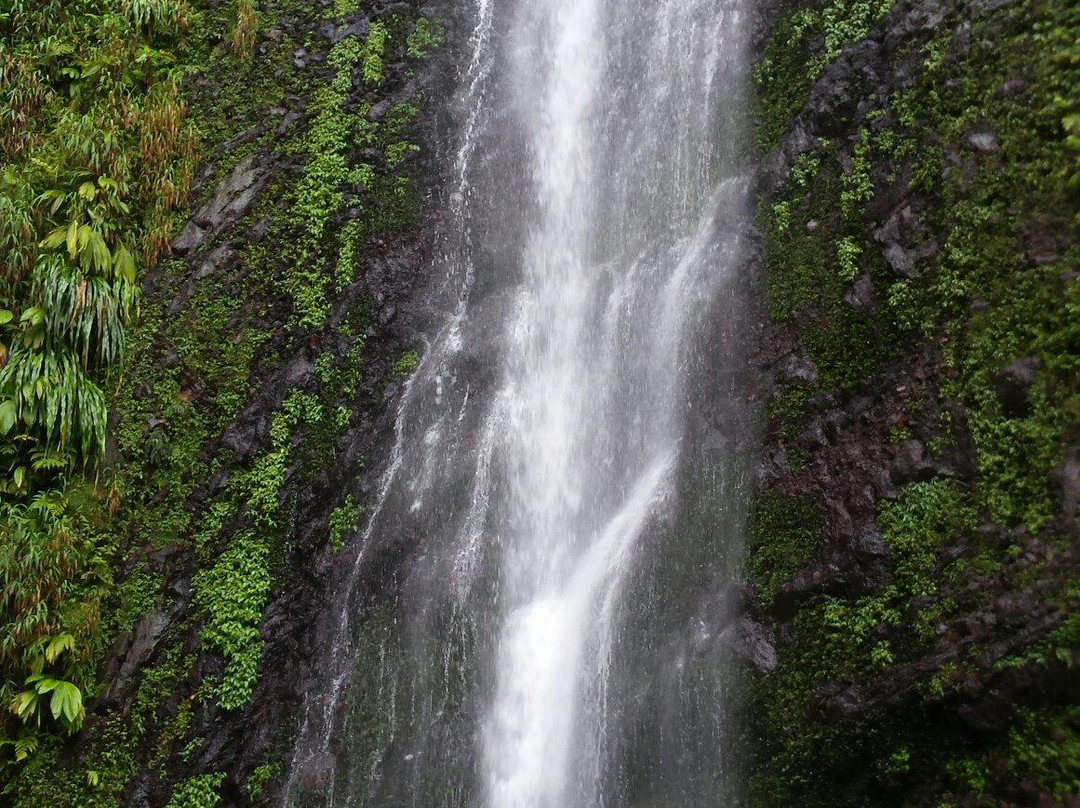 Trace des chutes Moreau-Goyave必去景点