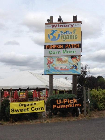 The Maize at The Pumpkin Patch-波特兰必去景点