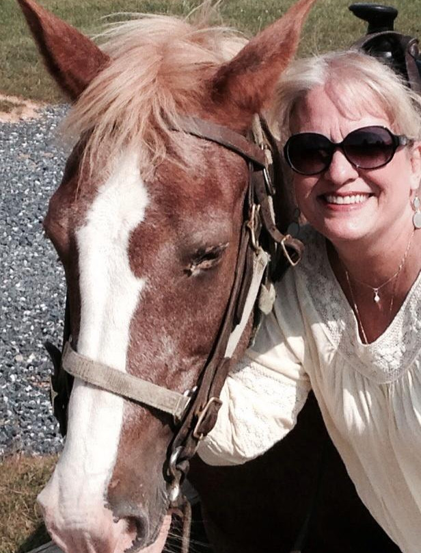 Star B Stables-斯汤顿必去景点