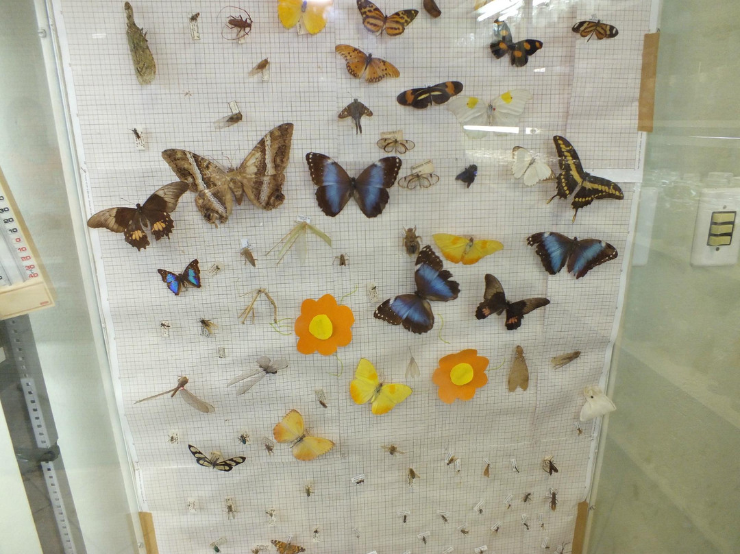 Museu Dinamico Interdisciplinar-Maringa必去景点