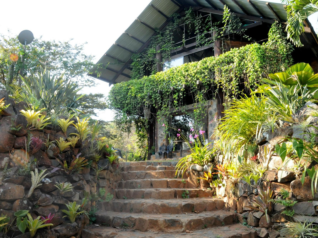 Mariposario Andoke-卡利必去景点