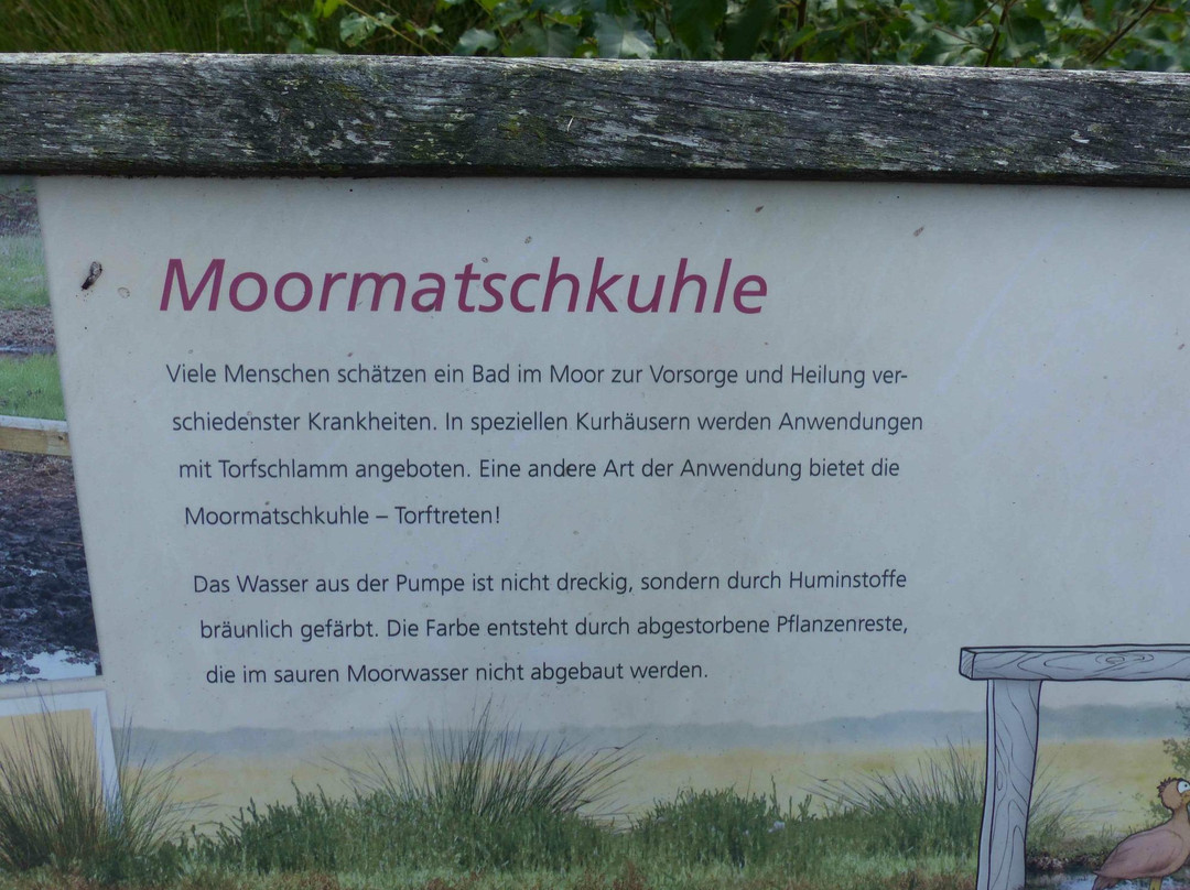 Spurwechsel Stroeher Moorbahn景点图片