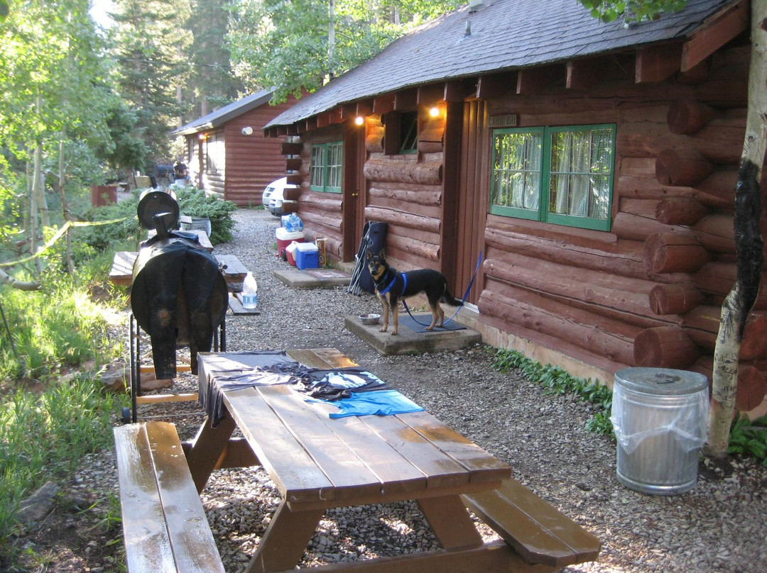 Navajo Lake Lodge