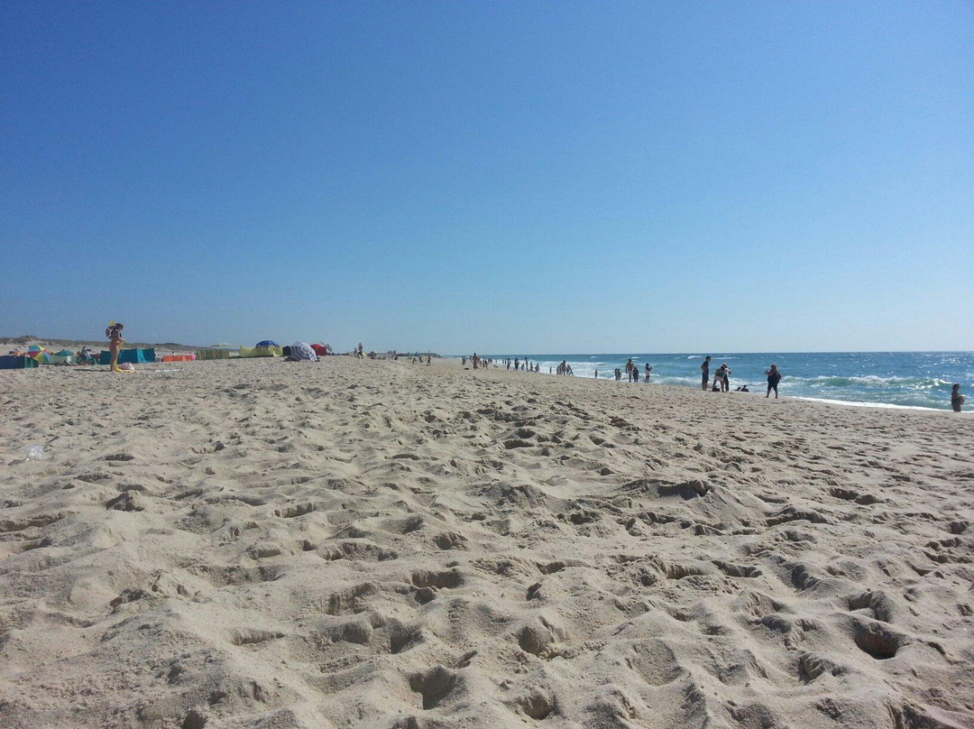 Praia da Torreira景点图片