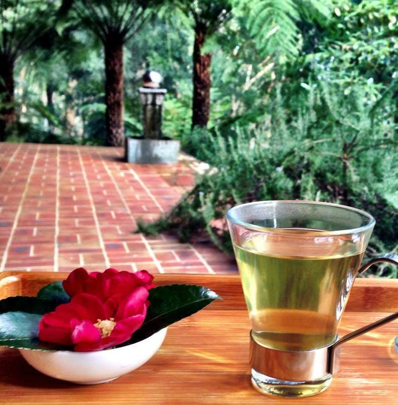 Piaf Day Spa-希尔斯维尔必去景点