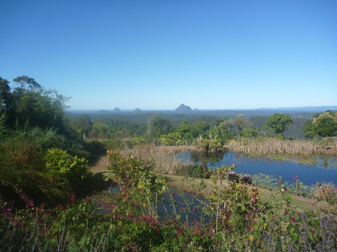 Maleny Botanic Gardens & Bird World景点图片