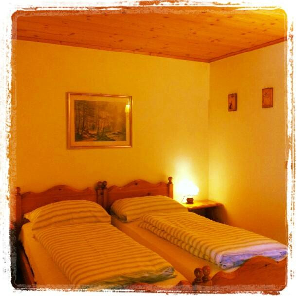 Masi di Cavalese酒店住宿-B&B Seppi