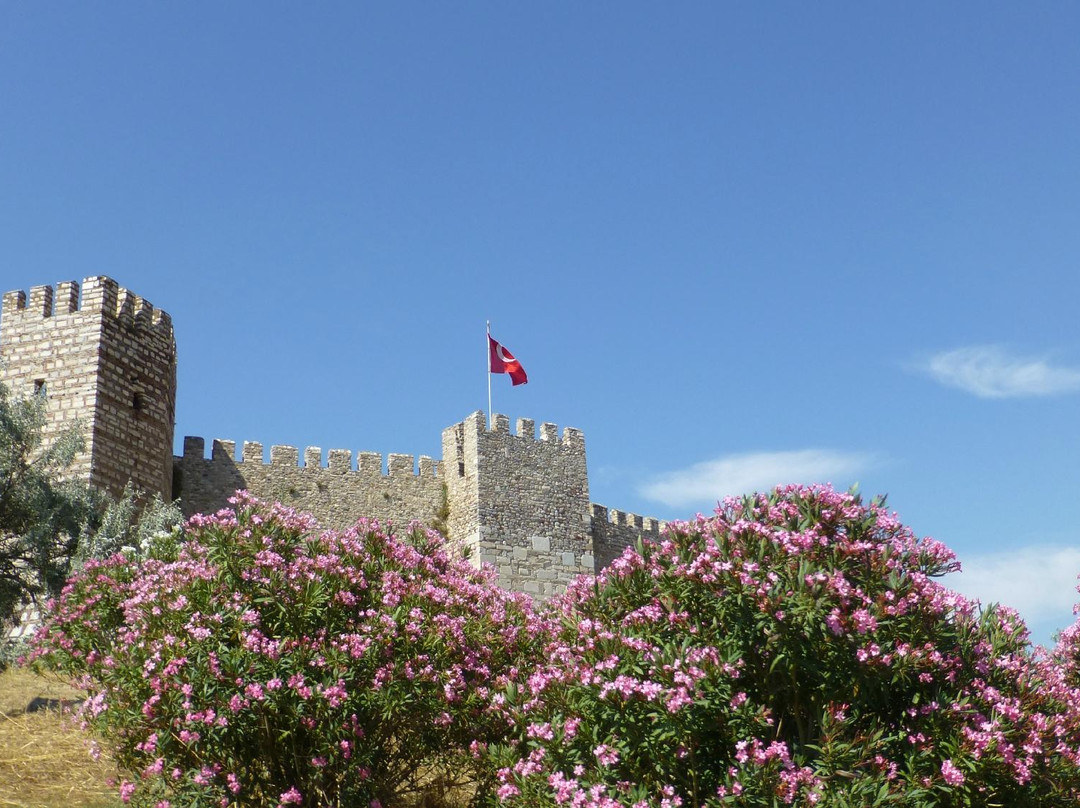 Ayasoluk Castle景点图片