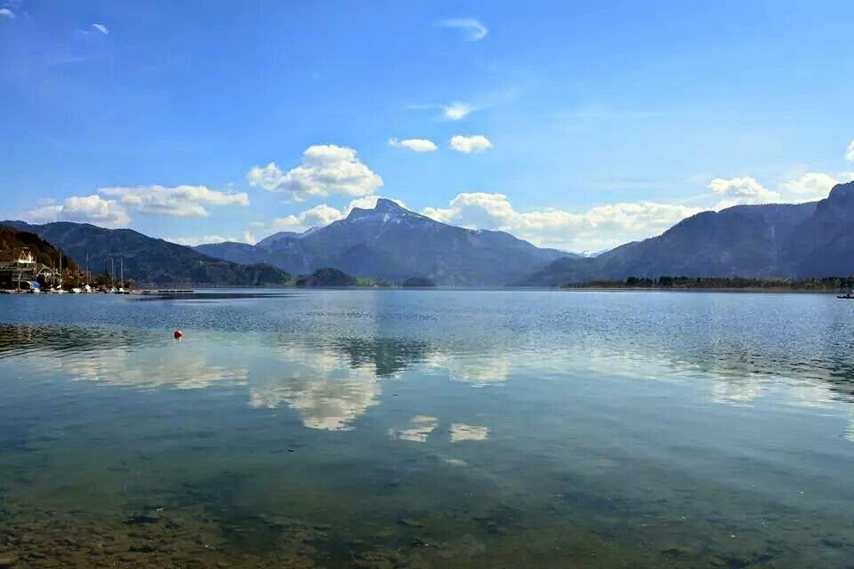 Tiefgraben酒店住宿-Gasthof Gruner Baum