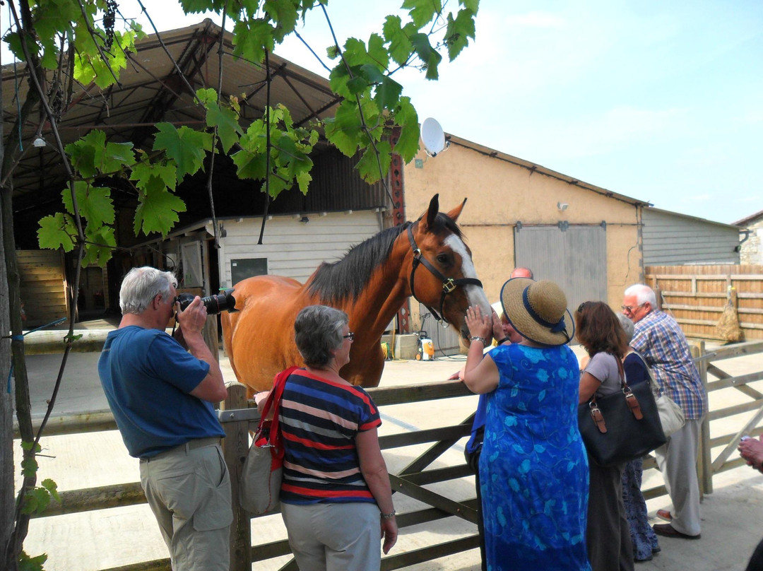 Brantome Police Horses & Friends景点图片