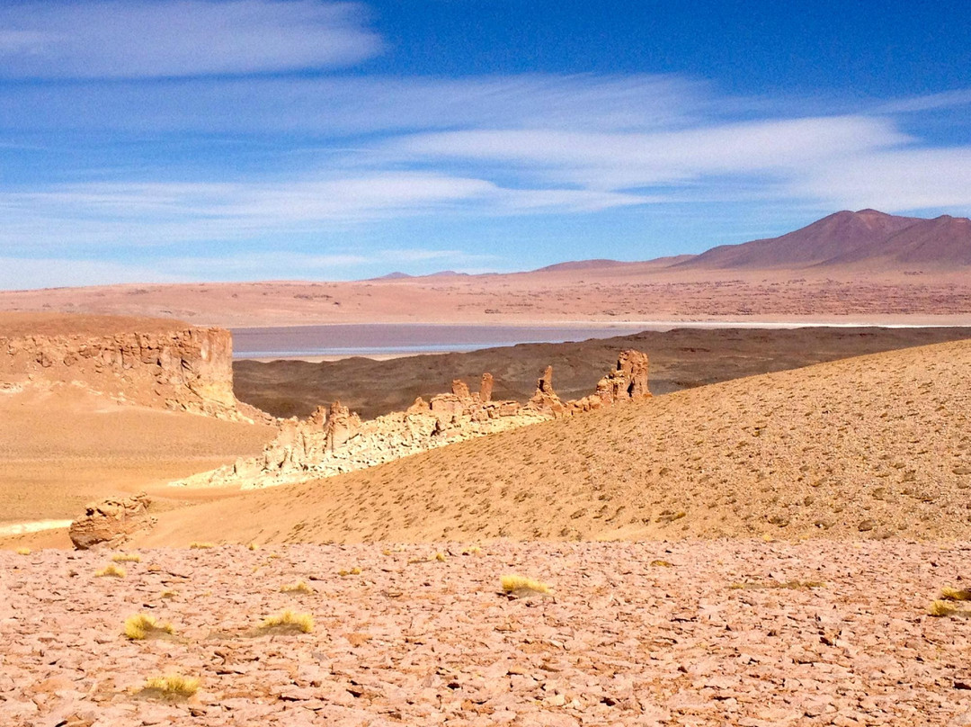 Atacama Loft & Expeditions - Tours景点图片