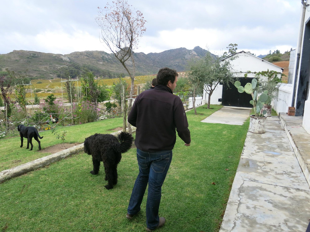 Winemakers Way-斯泰伦博斯必去景点