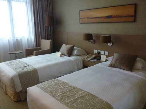 香港基督教青年会(港青)主图