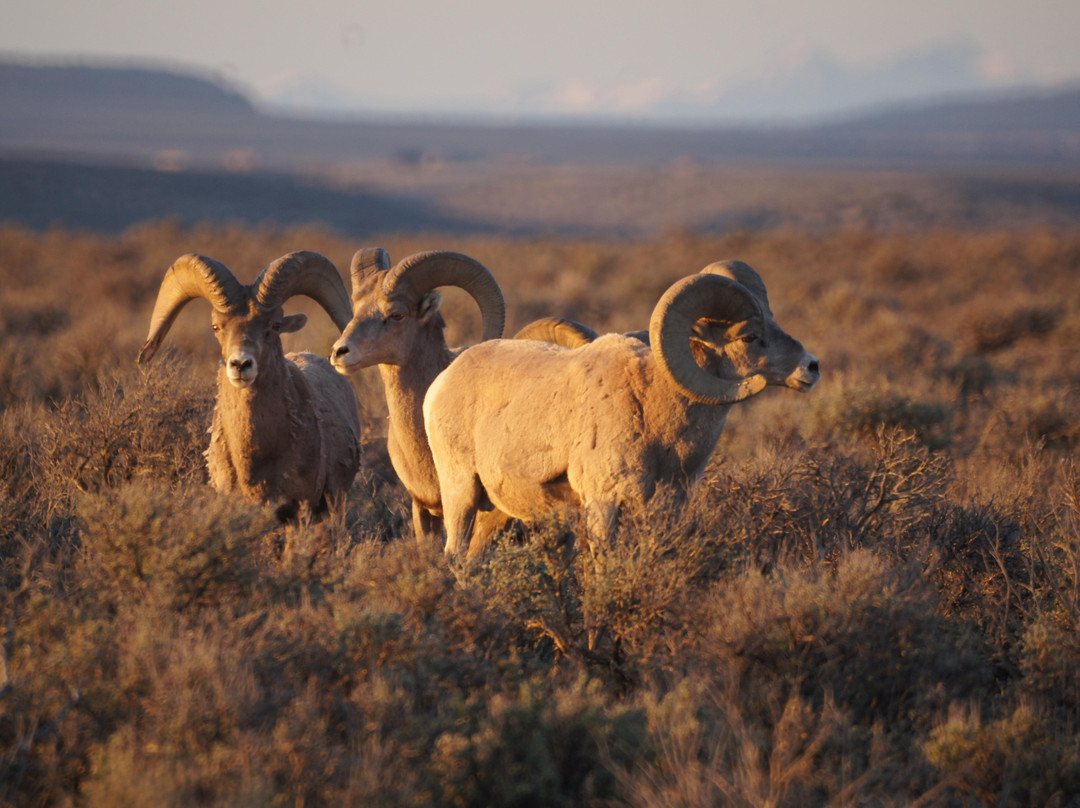 Steven Bundy Photography-Ranchos De Taos必去景点