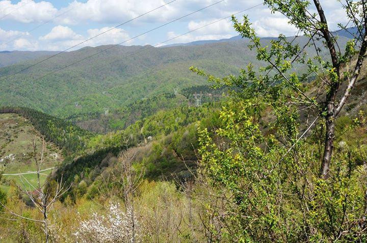 Mountain Bolu景点图片
