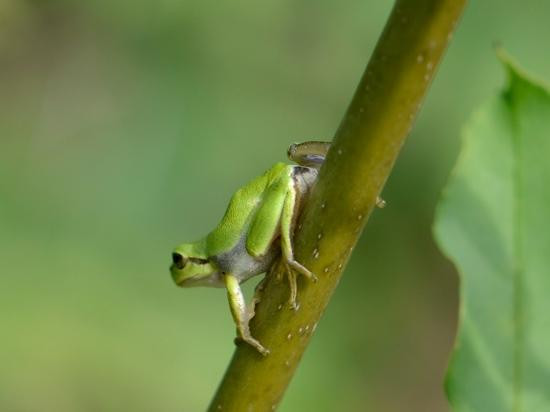Moesgard Forrest-欧胡斯必去景点