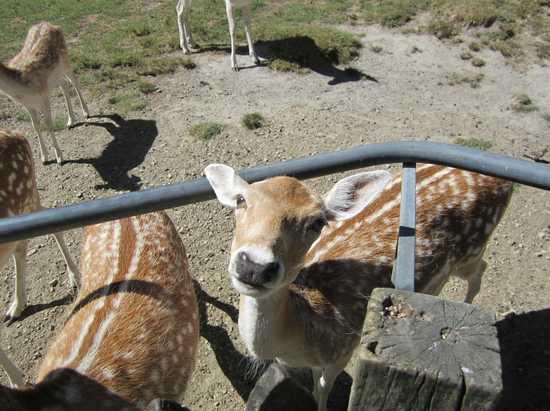 天堂谷温泉野生动物园-罗托鲁瓦必去景点