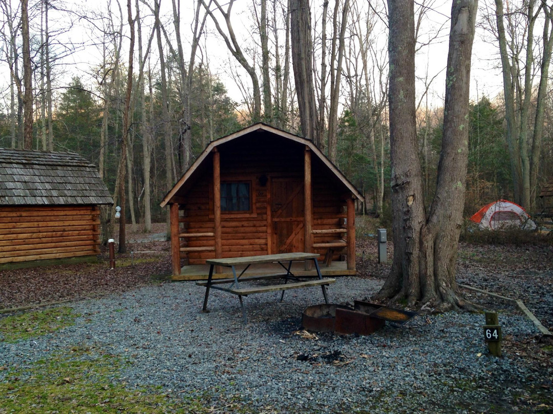 Fredricksburg / Washington DC South KOA