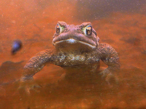 Ardnamurchan Natural History and Visitor Centre-Acharacle必去景点