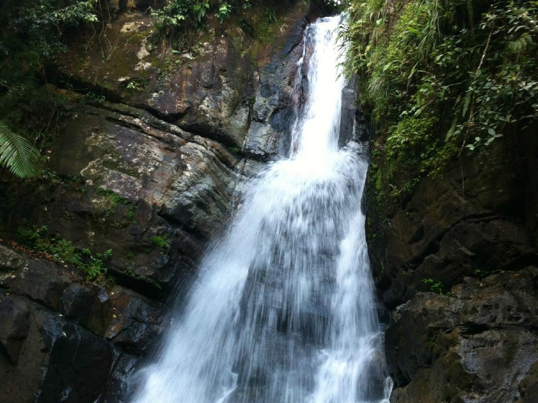 The Mine Trail (La Mina)-云盖国家森林公园必去景点