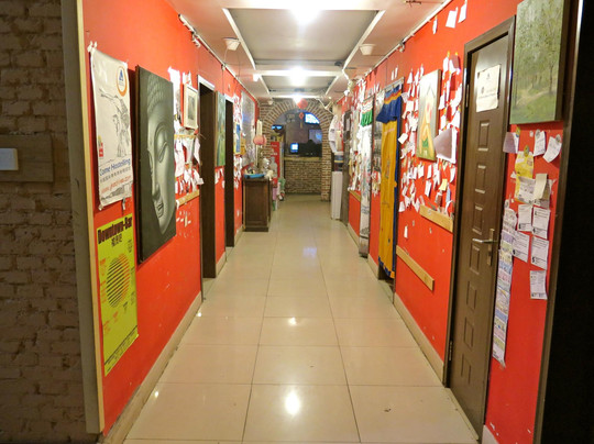 青岛奥博维特国际青年旅舍主图