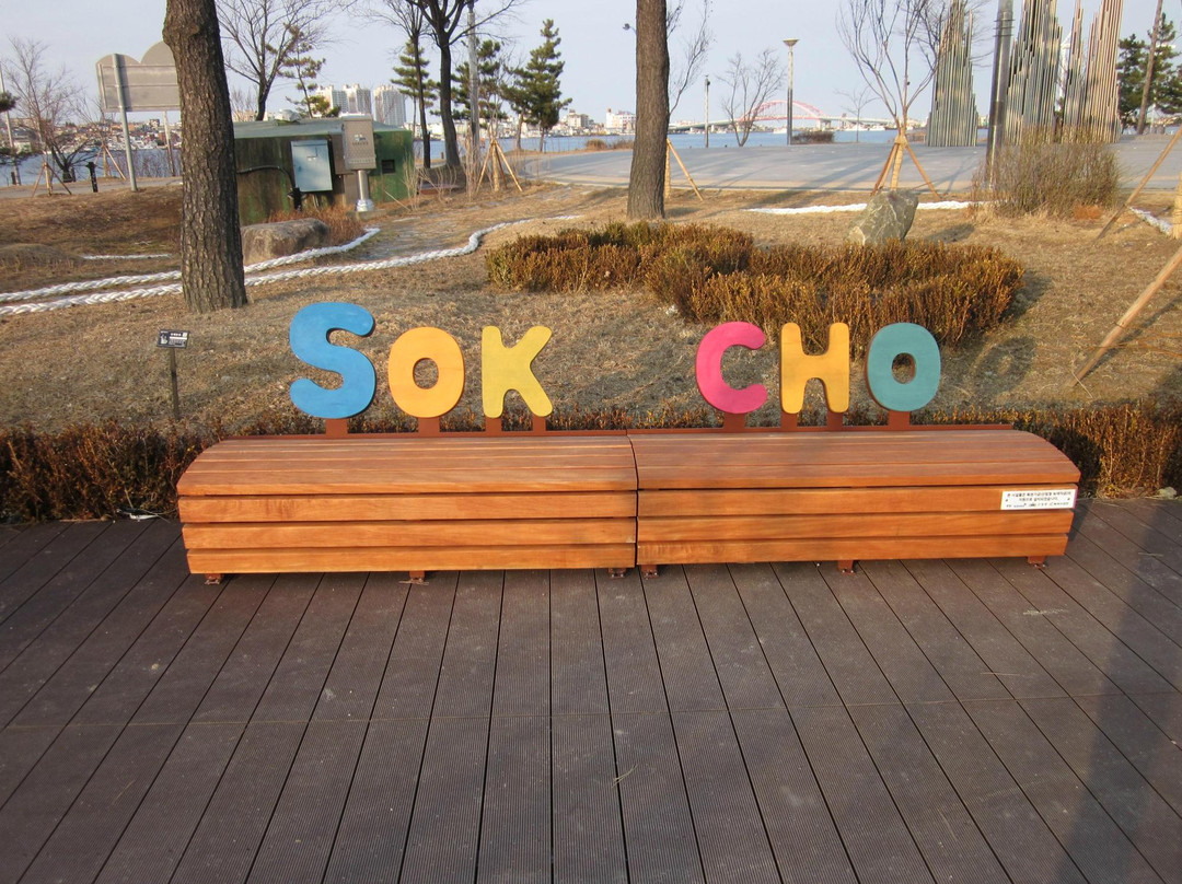 Sokcho Central Market景点图片