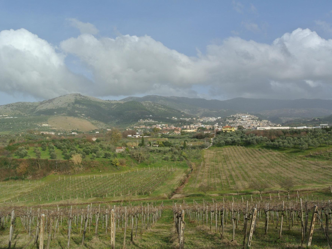 Agriturismo Villa Clementina主图
