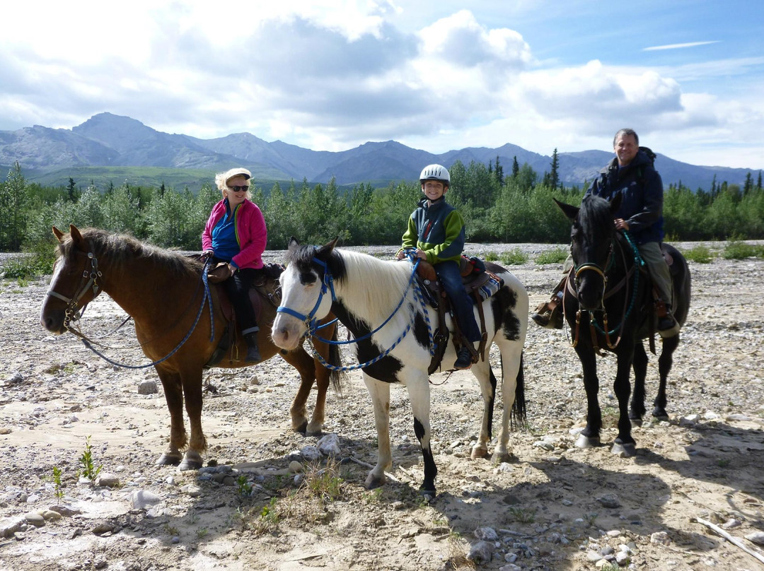 Denali Horseback Tours景点图片