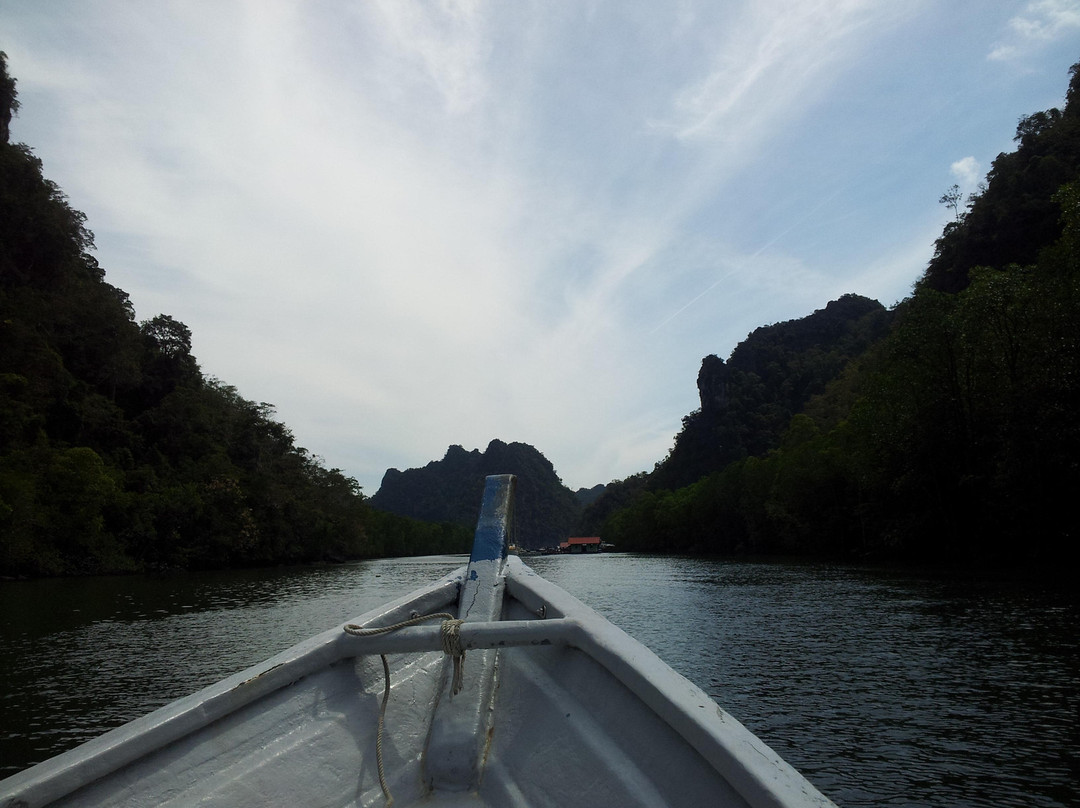 Langkawi Mangrove Tour - Day Tours景点图片