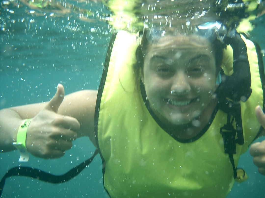 Rincon Diving & Snorkeling-吕康必去景点