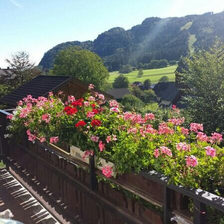 Ferienhaus Kramser主图