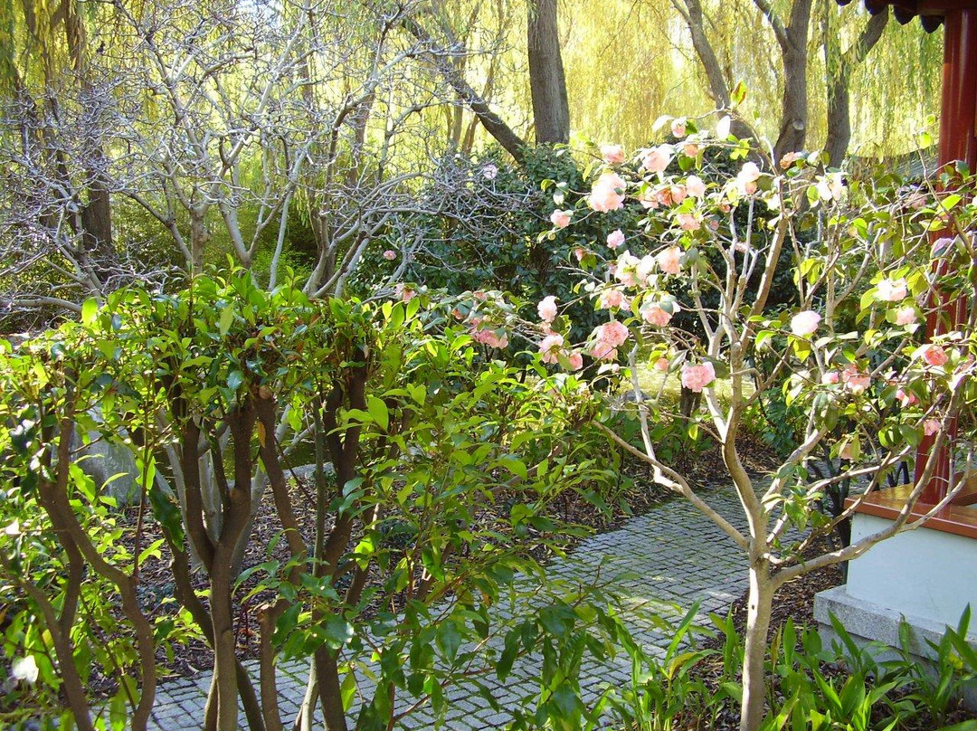 谊园-悉尼必去景点