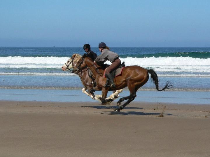 Mullacott Equestrian Centre
