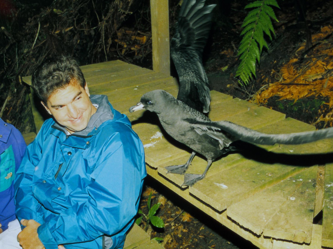 Petrel Colony Tours-普纳凯基必去景点