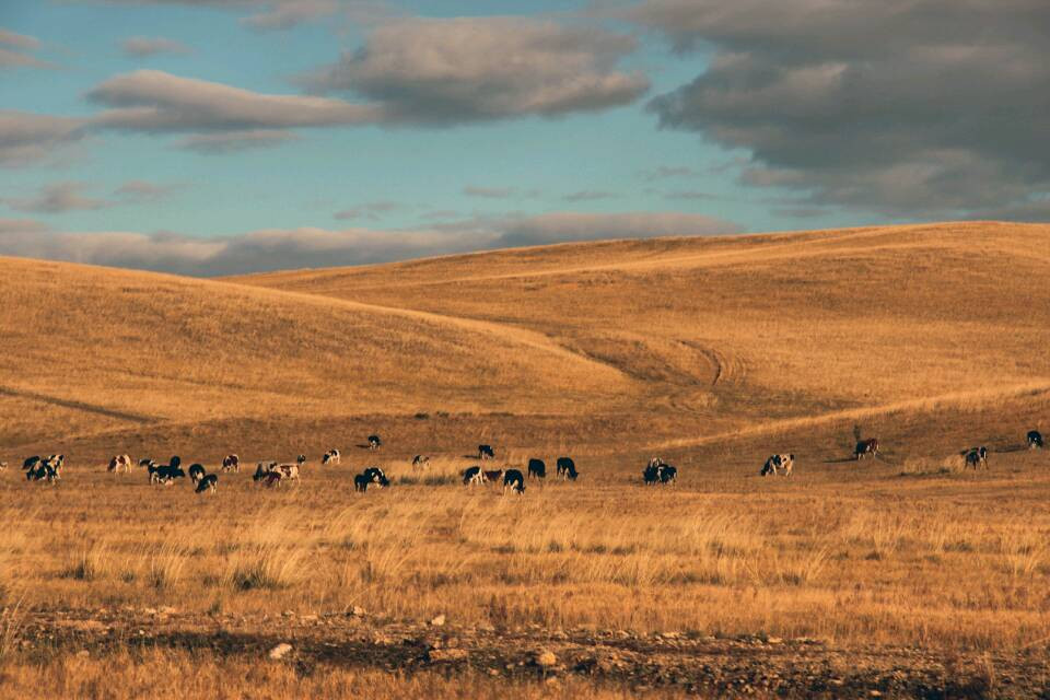 呼伦贝尔古城-呼伦贝尔市必去景点
