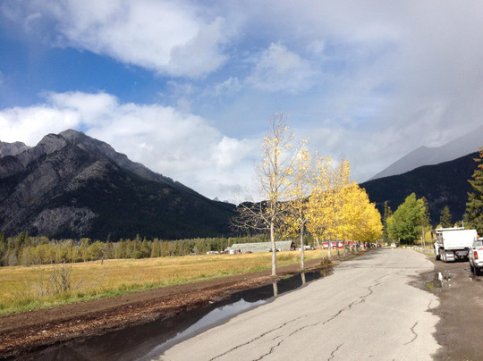 Banff Trail Riders-班夫必去景点