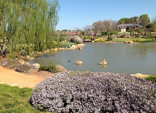 Shoyoen Japanese Garden-达博必去景点