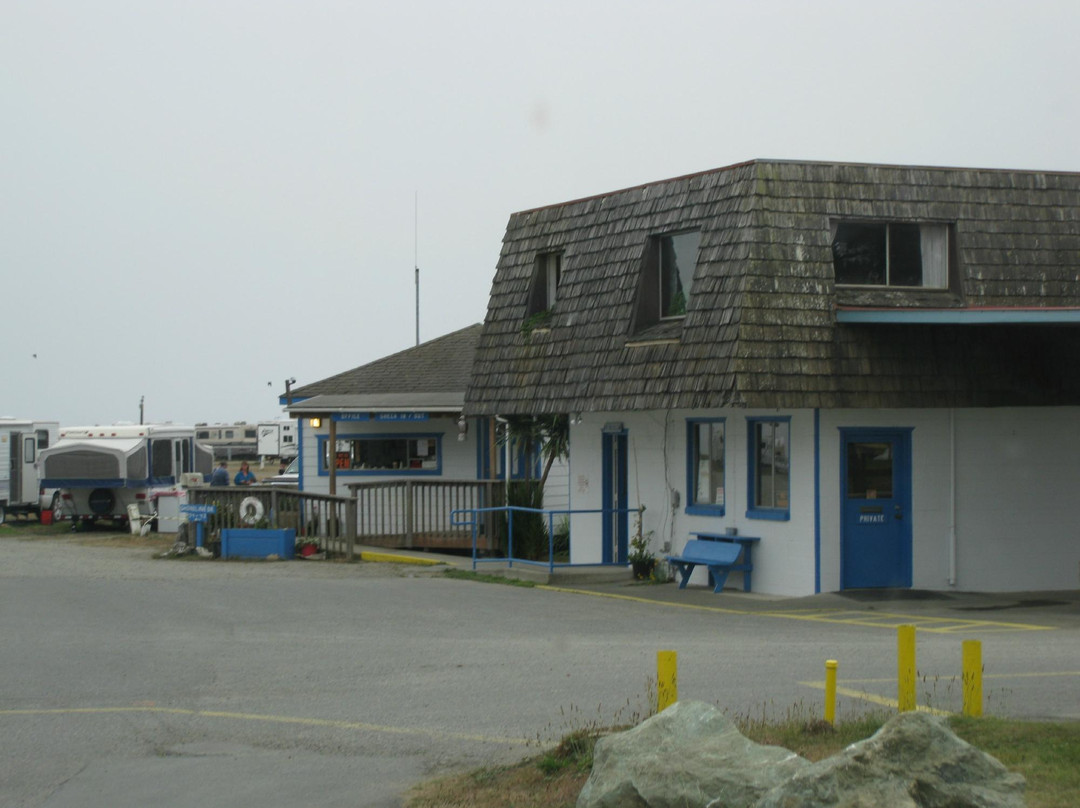 Shoreline RV Park and Campground